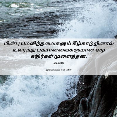 Picture 06 - ஆதியாகமம் 41:23 TAMIRV - பின்பு - Bible Verse Picture