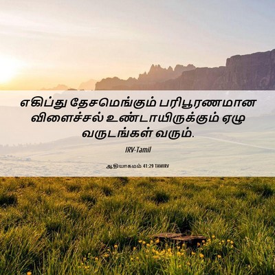 Picture 06 - ஆதியாகமம் 41:29 TAMIRV - எகிப்து - Bible Verse Picture
