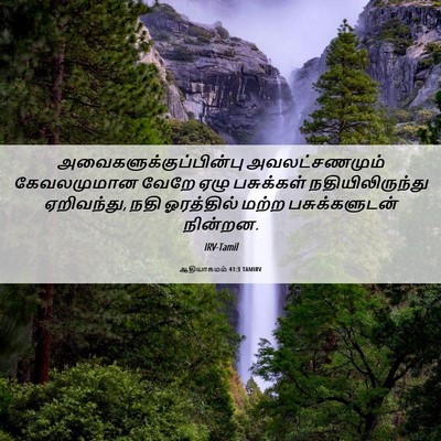 Picture 06 - ஆதியாகமம் 41:3 TAMIRV -  - Bible Verse Picture