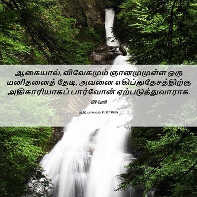 Picture 06 - ஆதியாகமம் 41:33 TAMIRV - ஆகையால், - Bible Verse Picture