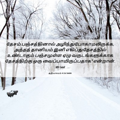 Picture 06 - ஆதியாகமம் 41:36 TAMIRV - தேசம் - Bible Verse Picture