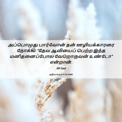 Picture 06 - ஆதியாகமம் 41:38 TAMIRV - அப்பொழுது - Bible Verse Picture