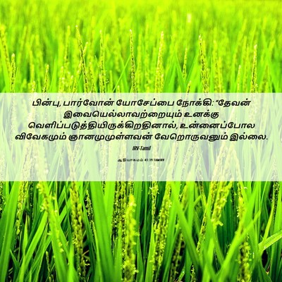 Picture 06 - ஆதியாகமம் 41:39 TAMIRV - பின்பு, பார்வோன் - Bible Verse Picture
