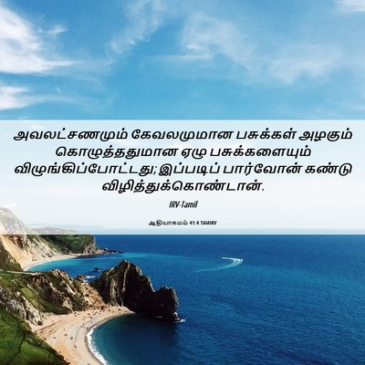 Picture 06 - ஆதியாகமம் 41:4 TAMIRV - அவலட்சணமும் - Bible Verse Picture
