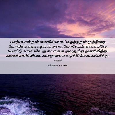 Picture 06 - ஆதியாகமம் 41:42 TAMIRV - பார்வோன் தன் - Bible Verse Picture