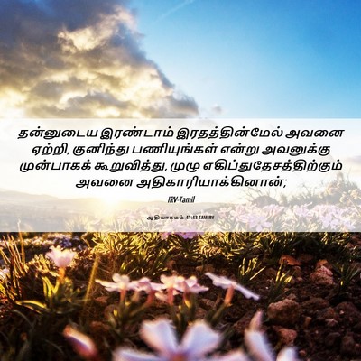 Picture 06 - ஆதியாகமம் 41:43 TAMIRV - தன்னுடைய இரண்டாம் - Bible Verse Picture
