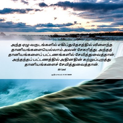 Picture 06 - ஆதியாகமம் 41:48 TAMIRV - அந்த ஏழு - Bible Verse Picture
