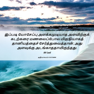 Picture 06 - ஆதியாகமம் 41:49 TAMIRV - இப்படி யோசேப்பு - Bible Verse Picture