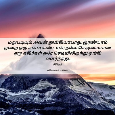 Picture 06 - ஆதியாகமம் 41:5 TAMIRV - மறுபடியும் அவன் - Bible Verse Picture
