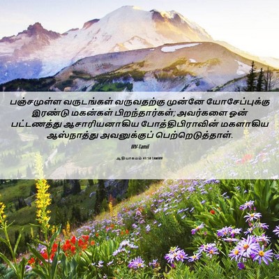 Picture 06 - ஆதியாகமம் 41:50 TAMIRV - பஞ்சமுள்ள - Bible Verse Picture