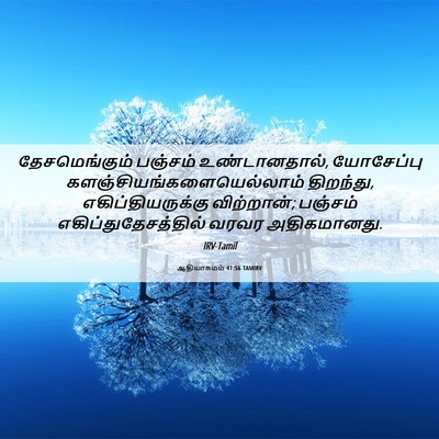 Picture 06 - ஆதியாகமம் 41:56 TAMIRV - தேசமெங்கும் - Bible Verse Picture