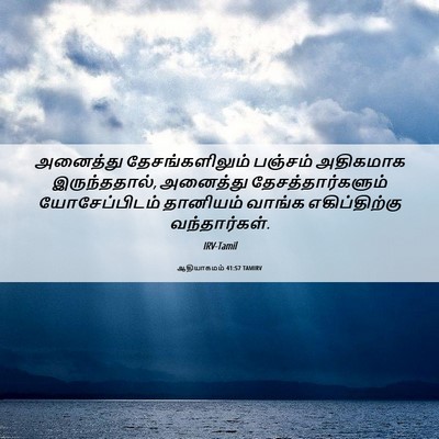 Picture 06 - ஆதியாகமம் 41:57 TAMIRV - அனைத்து - Bible Verse Picture