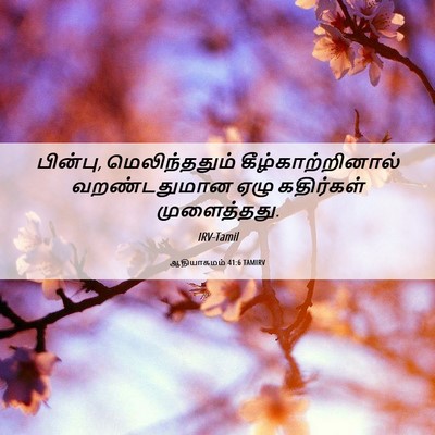 Picture 06 - ஆதியாகமம் 41:6 TAMIRV - பின்பு, - Bible Verse Picture