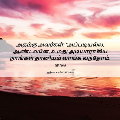 Picture 06 - ஆதியாகமம் 42:10 TAMIRV - அதற்கு அவர்கள்: - Bible Verse Picture