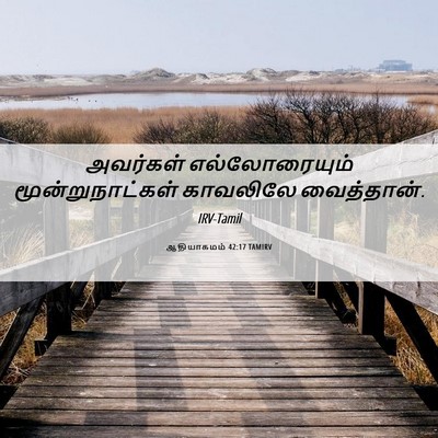 Picture 06 - ஆதியாகமம் 42:17 TAMIRV - அவர்கள் - Bible Verse Picture