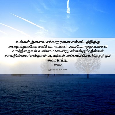 Picture 06 - ஆதியாகமம் 42:20 TAMIRV - உங்கள் இளைய - Bible Verse Picture