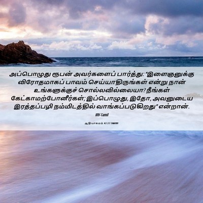 Picture 06 - ஆதியாகமம் 42:22 TAMIRV - அப்பொழுது ரூபன் - Bible Verse Picture