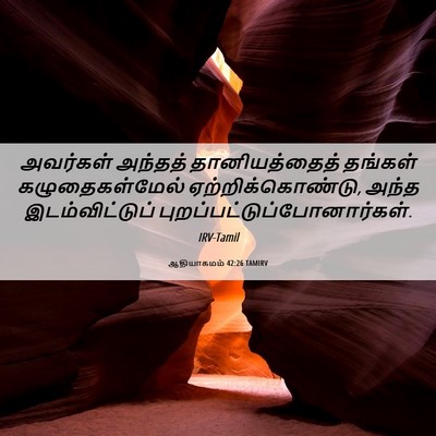 Picture 06 - ஆதியாகமம் 42:26 TAMIRV - அவர்கள் அந்தத் - Bible Verse Picture