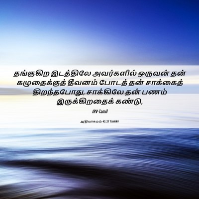 Picture 06 - ஆதியாகமம் 42:27 TAMIRV - தங்குகிற இடத்திலே - Bible Verse Picture