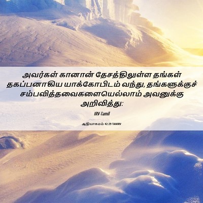 Picture 06 - ஆதியாகமம் 42:29 TAMIRV - அவர்கள் கானான் - Bible Verse Picture