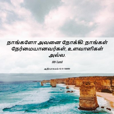Picture 06 - ஆதியாகமம் 42:31 TAMIRV - நாங்களோ அவனை - Bible Verse Picture