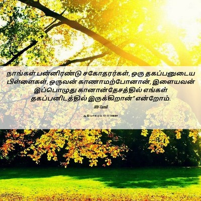 Picture 06 - ஆதியாகமம் 42:32 TAMIRV - நாங்கள் - Bible Verse Picture