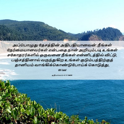 Picture 06 - ஆதியாகமம் 42:33 TAMIRV - அப்பொழுது - Bible Verse Picture