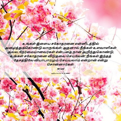 Picture 06 - ஆதியாகமம் 42:34 TAMIRV - உங்கள் இளைய - Bible Verse Picture