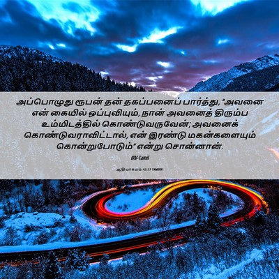 Picture 06 - ஆதியாகமம் 42:37 TAMIRV - அப்பொழுது ரூபன் - Bible Verse Picture