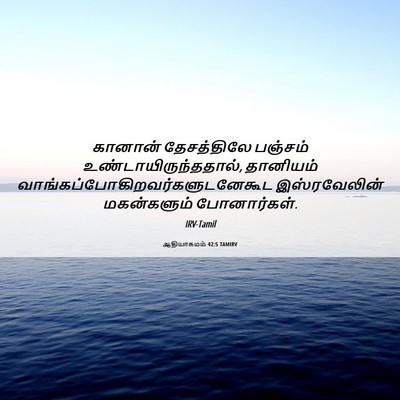 Picture 06 - ஆதியாகமம் 42:5 TAMIRV - கானான் தேசத்திலே - Bible Verse Picture