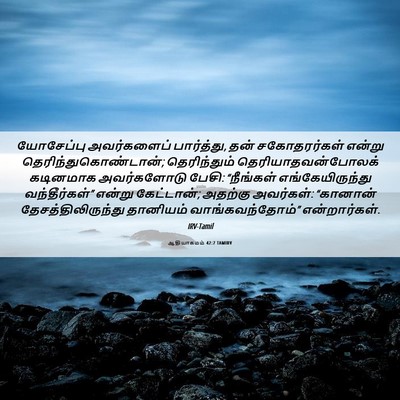 Picture 06 - ஆதியாகமம் 42:7 TAMIRV - யோசேப்பு - Bible Verse Picture
