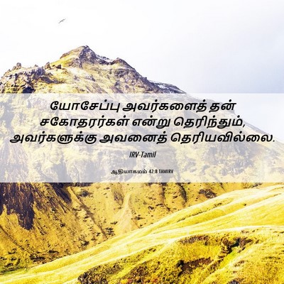 Picture 06 - ஆதியாகமம் 42:8 TAMIRV - யோசேப்பு - Bible Verse Picture