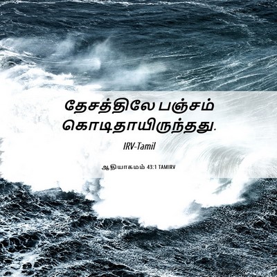 Picture 06 - ஆதியாகமம் 43:1 TAMIRV - தேசத்திலே பஞ்சம் - Bible Verse Picture