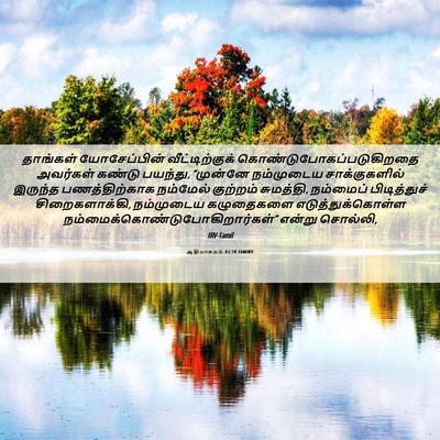 Picture 06 - ஆதியாகமம் 43:18 TAMIRV - தாங்கள் - Bible Verse Picture