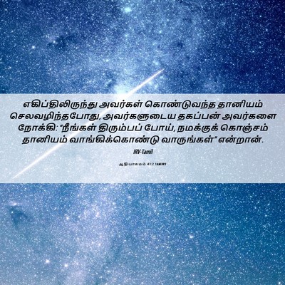 Picture 06 - ஆதியாகமம் 43:2 TAMIRV - எகிப்திலிருந்து - Bible Verse Picture