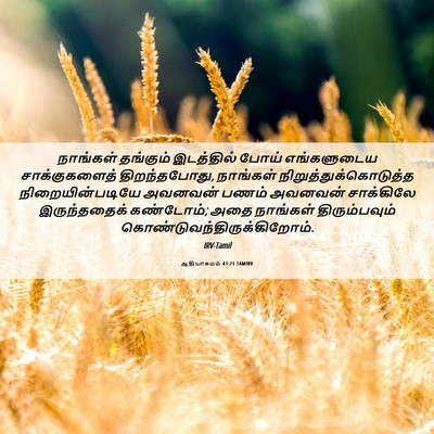 Picture 06 - ஆதியாகமம் 43:21 TAMIRV - நாங்கள் தங்கும் - Bible Verse Picture