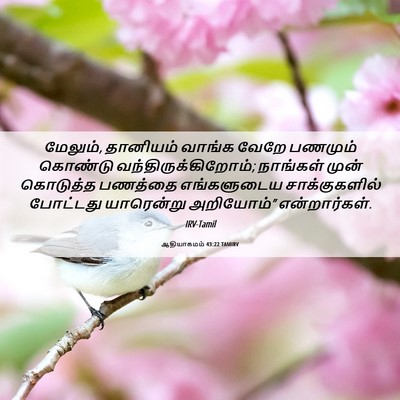 Picture 06 - ஆதியாகமம் 43:22 TAMIRV - மேலும், தானியம் - Bible Verse Picture