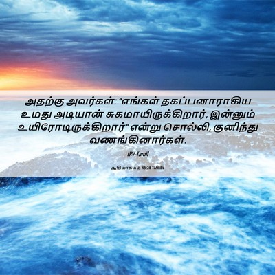 Picture 06 - ஆதியாகமம் 43:28 TAMIRV - அதற்கு அவர்கள்: - Bible Verse Picture