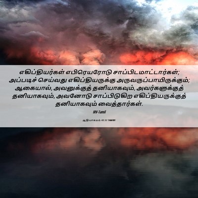 Picture 06 - ஆதியாகமம் 43:32 TAMIRV - எகிப்தியர்கள் - Bible Verse Picture