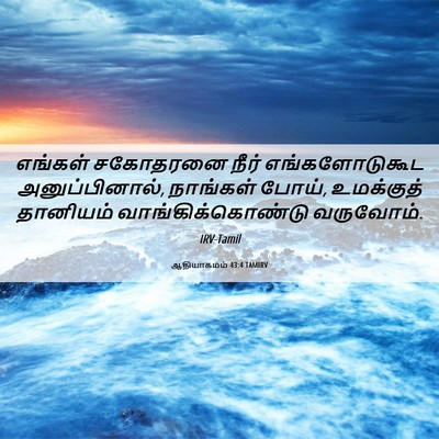 Picture 06 - ஆதியாகமம் 43:4 TAMIRV - எங்கள் சகோதரனை - Bible Verse Picture