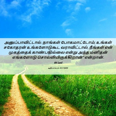 Picture 06 - ஆதியாகமம் 43:5 TAMIRV - அனுப்பாவிட்டால். - Bible Verse Picture