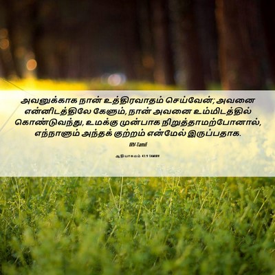 Picture 06 - ஆதியாகமம் 43:9 TAMIRV - அவனுக்காக நான் - Bible Verse Picture