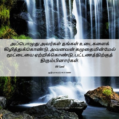 Picture 06 - ஆதியாகமம் 44:13 TAMIRV - அப்பொழுது அவர்கள் - Bible Verse Picture