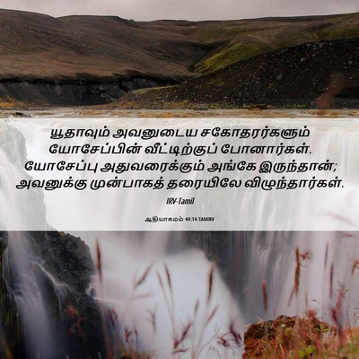 Picture 06 - ஆதியாகமம் 44:14 TAMIRV - யூதாவும் அவனுடைய - Bible Verse Picture
