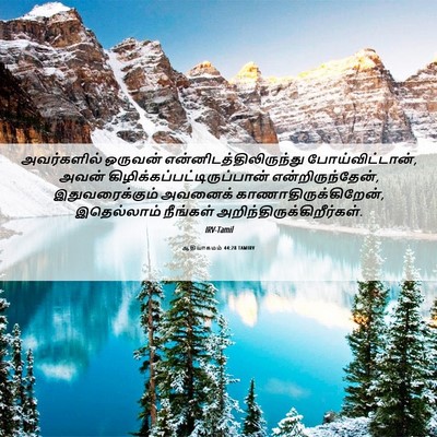 Picture 06 - ஆதியாகமம் 44:28 TAMIRV - அவர்களில் ஒருவன் - Bible Verse Picture
