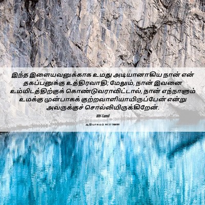 Picture 06 - ஆதியாகமம் 44:32 TAMIRV - இந்த இளையவனுக்காக - Bible Verse Picture