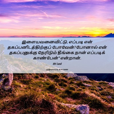 Picture 06 - ஆதியாகமம் 44:34 TAMIRV - இளையவனைவிட்டு, - Bible Verse Picture