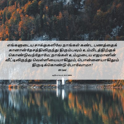 Picture 06 - ஆதியாகமம் 44:8 TAMIRV - எங்களுடைய - Bible Verse Picture