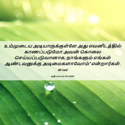 Picture 06 - ஆதியாகமம் 44:9 TAMIRV - உம்முடைய - Bible Verse Picture