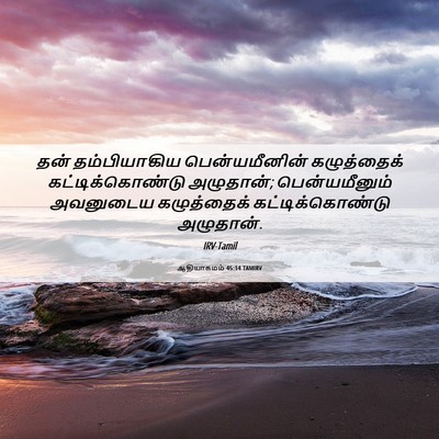 Picture 06 - ஆதியாகமம் 45:14 TAMIRV - தன் தம்பியாகிய - Bible Verse Picture